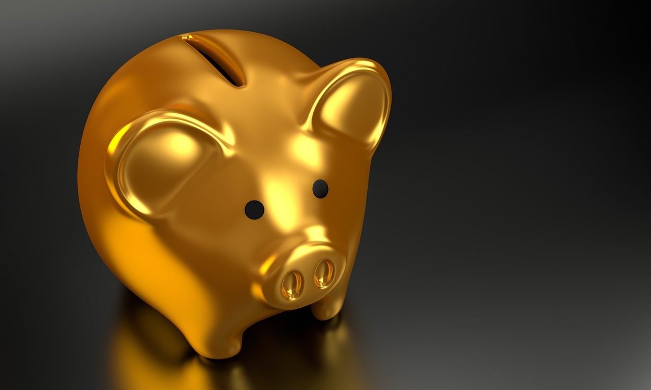 Edu Investment