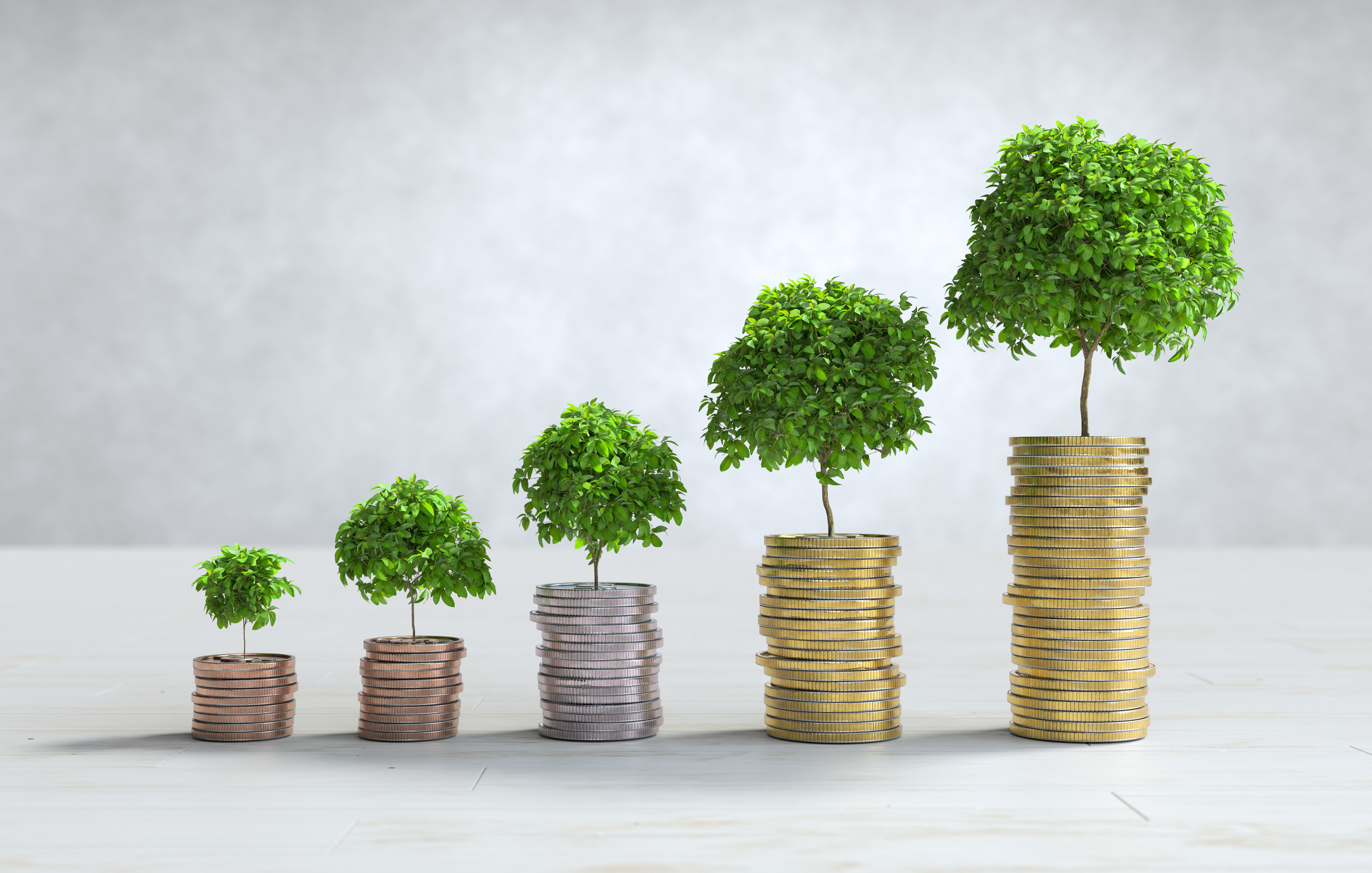 Investment background