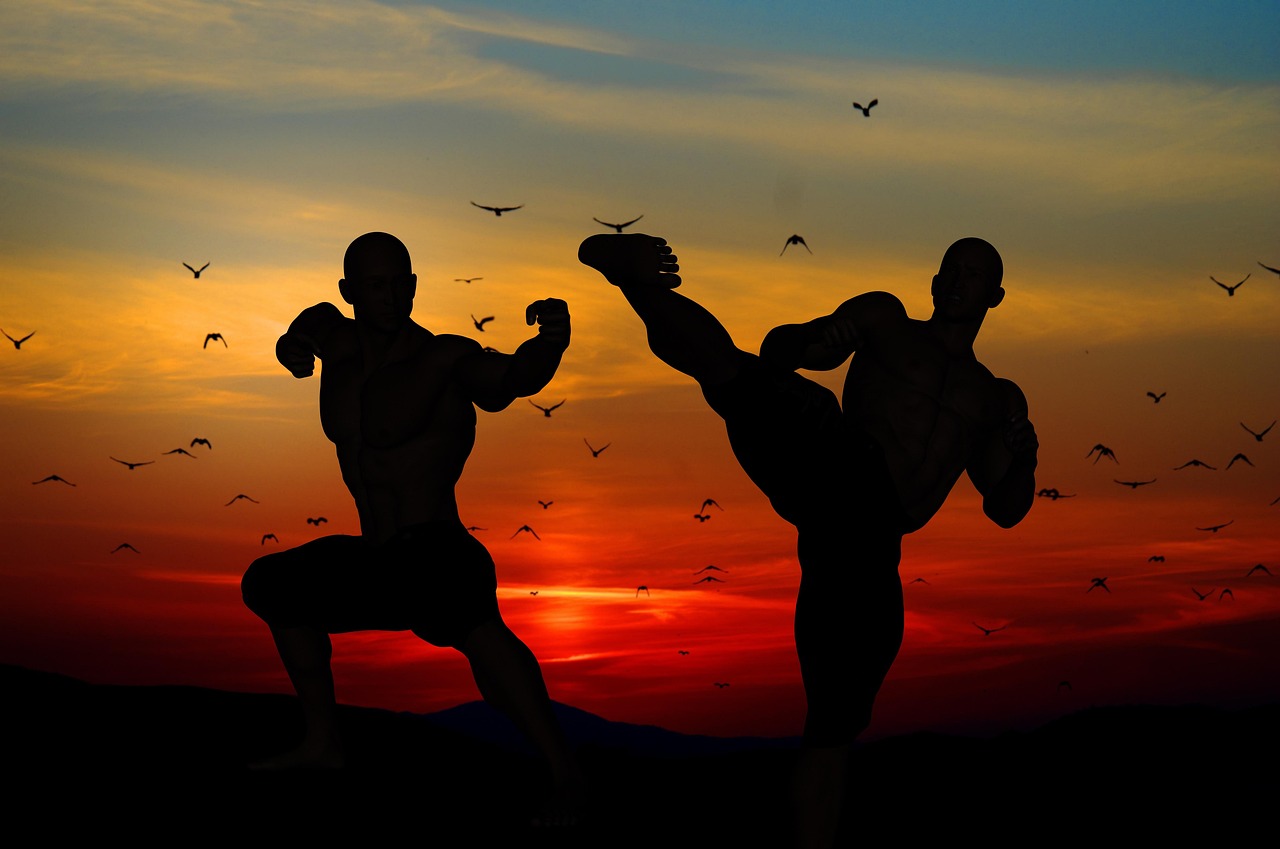 Martial Arts Training